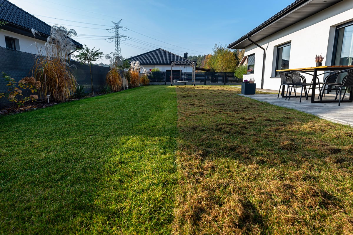 Scarifying the lawn before the winter season using an electric scarifier