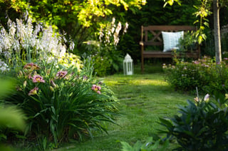 Garden photo